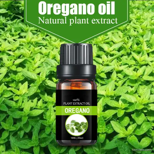 Manufacturer supply wild oil of Oregano Essential Oil with Carvacrol