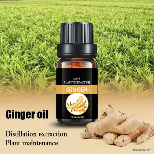 Bulk pure body care ginger essential oil for food additives and massage