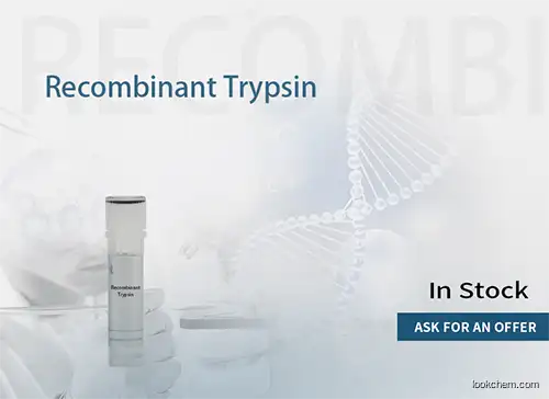 Hzymes Recombinant Trypsin -lyophilized powder/ solution / digestion