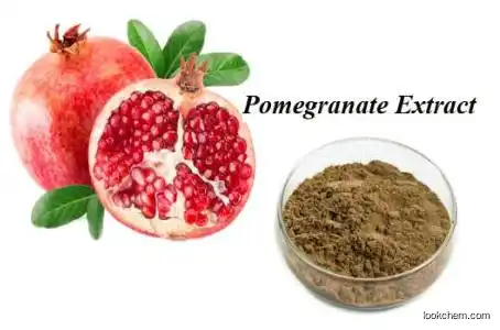 China Biggest factory manufacturer supply Pomegranate Peel Extract (Ellagic Acid) CAS476-66-4(476-66-4)