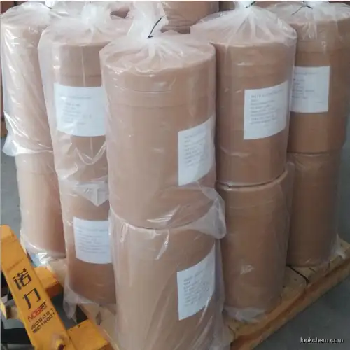China Biggest Factory & Manufacturer supply Betulinic Acid  50MT/Year