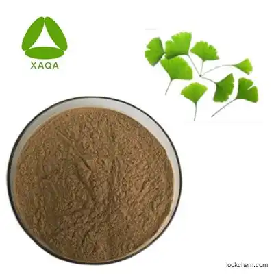 Good Selling Natural Supplements Ginkgo Biloba Leaf Extract Powder 10:1
