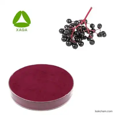 Dietary supplements Natural Black Elderberry Fruit extract 5% 15% Elderberry Flavones Powder