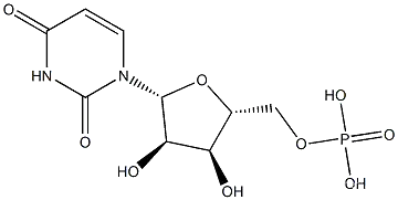 Polyuridylic acid potassium salt