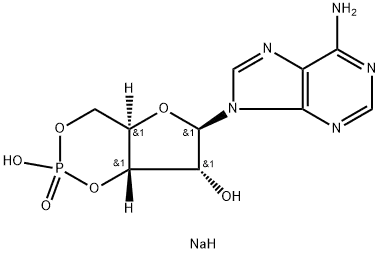 Adenosine 3',5'-cyclic monophosphate sodium salt
