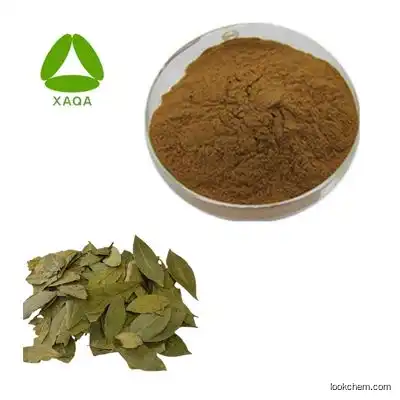 Natural Senna Leaf Extract Powder 10:1