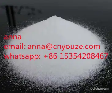 1-Methylguanidinhydrochlorid CAS NO.22661-87-6 high purity best price spot goods