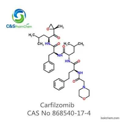 99% Carfilzomib AR CAS No 868540-17-4
