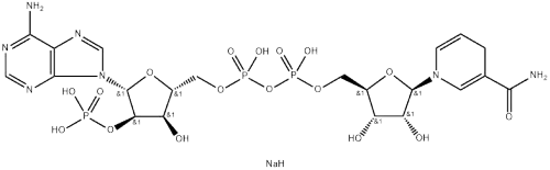 β-Nicotinamide Adenine Dinucleotide Phosphate Tetrasodium Salt, reduced form（β-NADPH）PHATE SODIUM SALT