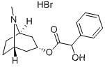 Homatropine Hydrobromide CAS NO.: 51-56-9