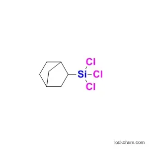 2-Norbornyl Trichlorosilane