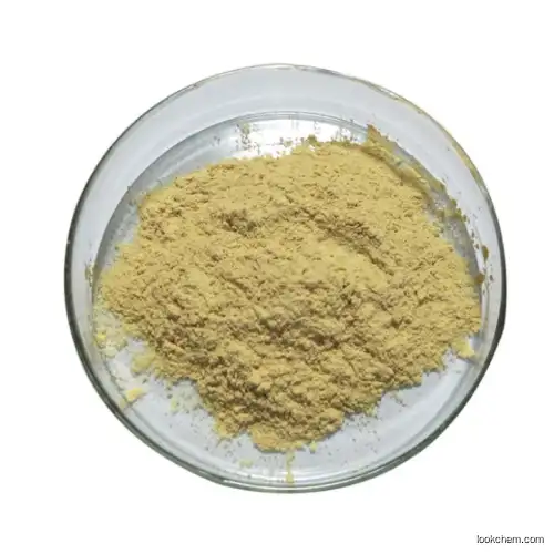 Ginseng Extract, light-Yellow fine powder, 80% Ginsenoside.Convincing quality. High content and competitive price. Certificates are complete.