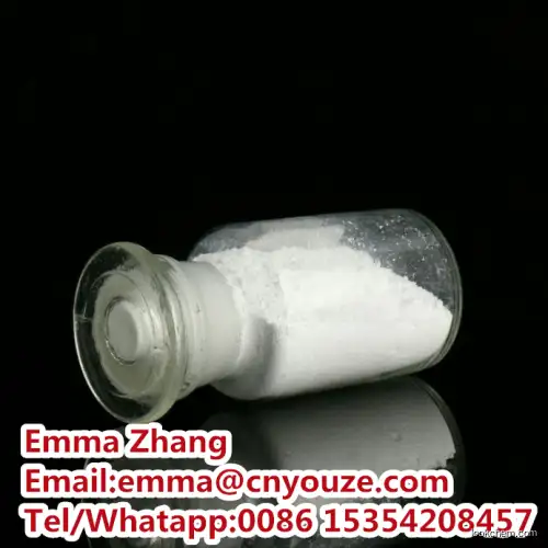 Manufacturer of 2,6-Dichloro-4-methyl-3-nitropyridine at Factory Price CAS NO.60010-03-9