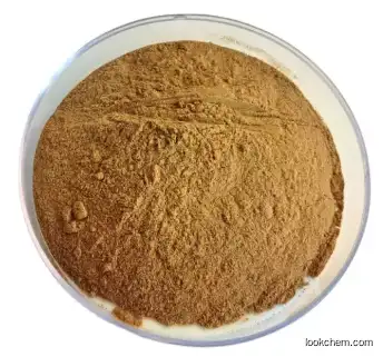 Organic Rhodiola Root Powder