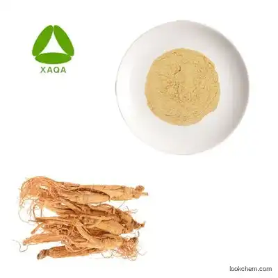 Factory Supply Panax Ginseng Root Extract Powder 80% Ginseng Saponin Powder