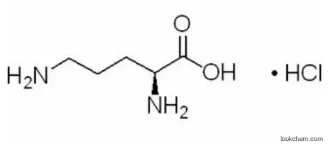 CAS :3184-13-2  L (+) -Ornithine Hydrochloride