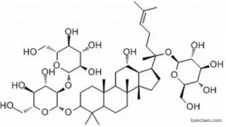 97% Ginsenoside-Rd CAS: 52705-93-8