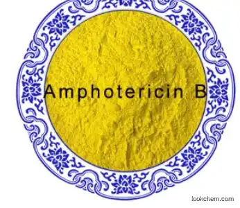 Amphotericin B CAS 1397-89-3