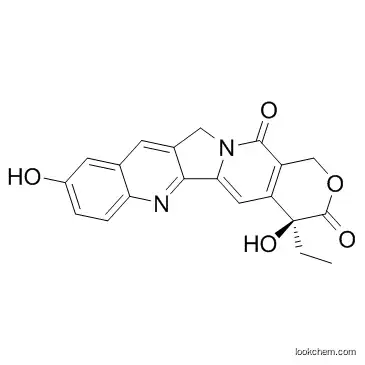 10-Hydroxycamptothecin CAS19685-09-7