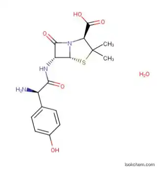 Top grade Amoxicillin trihydrate  from China(61336-70-7)