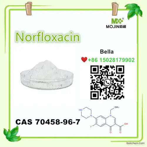 Low price Norfloxacin CAS 70458-96-7