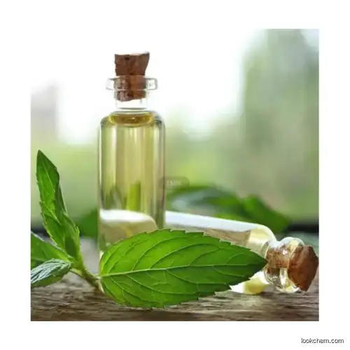 Menthyl PCA  CAS 64519-44-4 Perfume Body wash Shampoo soap