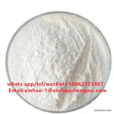 Pharmaceutical Grade Methylprednisolone powder supplier CAS:83-43-2