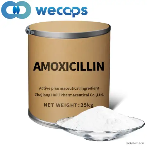 Amoxicillin(26787-78-0)