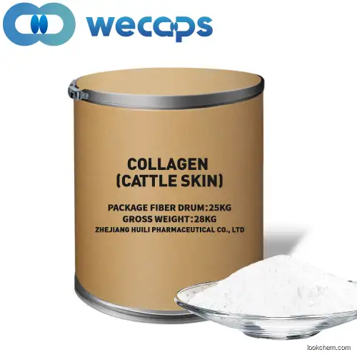 Collagen (Cattle Skin)(9064-67-9)