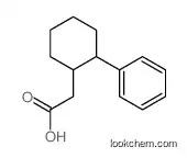 (2-phenylcyclohexyl)acetic acid CAS92863-52-0