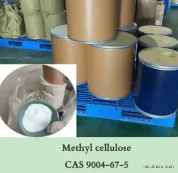 Methyl Cellulose Mc Cellulose CAS No. 9004-67-5