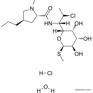 CLINDAMYCIN HYDROCHLORIDE CAS58207-19-5