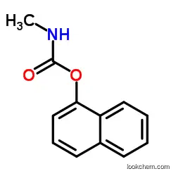 Carbaryl CAS63-25-2