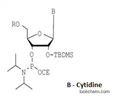 DMT-2′O-tBD-rC(ac) Phosphoramidite