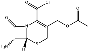 7-Aminocephalosporanic acid.