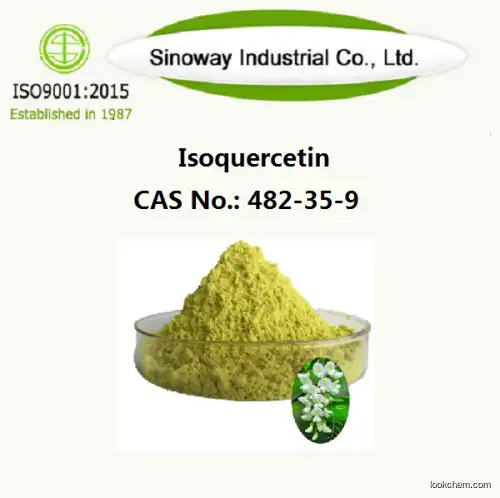 ≥96% high purity high quality custom manufacturing natural extract Sophora japonica Extract Isoquercitrin 482-35-9