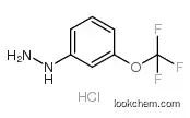 (3-TRIFLUOROMETHOXY-PHENYL)-HYDRAZINE HYDROCHLORIDE CAS133115-55-6