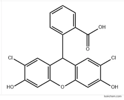 2',7'-dichlorodihydrofluorescein.