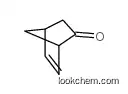 Norcamphor, dehydro- CAS694-98-4