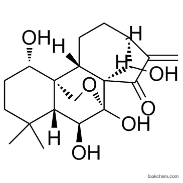 Oridonin CAS28957-04-2