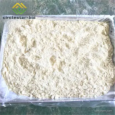 Factory Supply  2,2',4,4'-Tetrahydroxybenzophenone Supplier Manufacturer Good Price