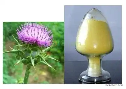 Milk thistle extract， Silybum marianum extract. Convincing quality. High content and competitive price. Certificates are complete.
