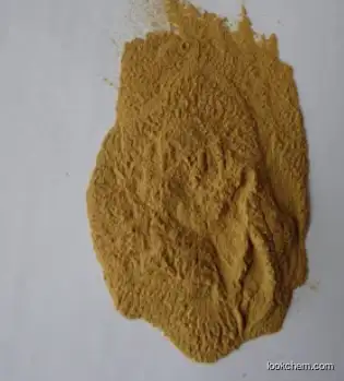 Echinacea Purpurea Extract Powder Chicoric Acid CAS 6537-80-0