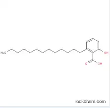 Ginkgolic Acid CAS No. 20261-38-5