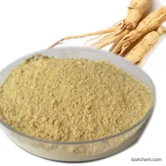 Plant Extracts Panax Ginseng Extract CAS 50647-08-0