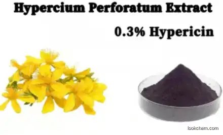 Hypercium Perforatum Flower Extract 0.3% Hypericin 84082-80-4