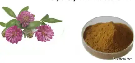 Natural Extract Red Clover P. E. Trifolium Pratente L. 85085-25-2 Powder for Anti-Cancer