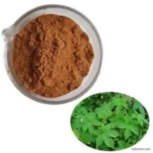 Natural Pure CAS 19210-12-9 for Sale Harpagophytum Procumbens Powder 5% Harpagoside Devils Claw Extract