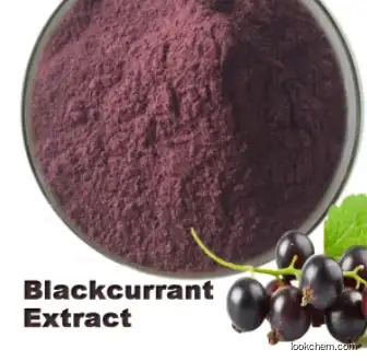 Blueberry Fruit Powder Frozen CAS 84082-34-8 Blueberry Extract