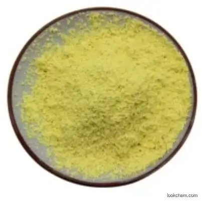 Top quality sophora japonica extract 95% 98% Quercetin Dihydrate Powder CAS 6151-25-3